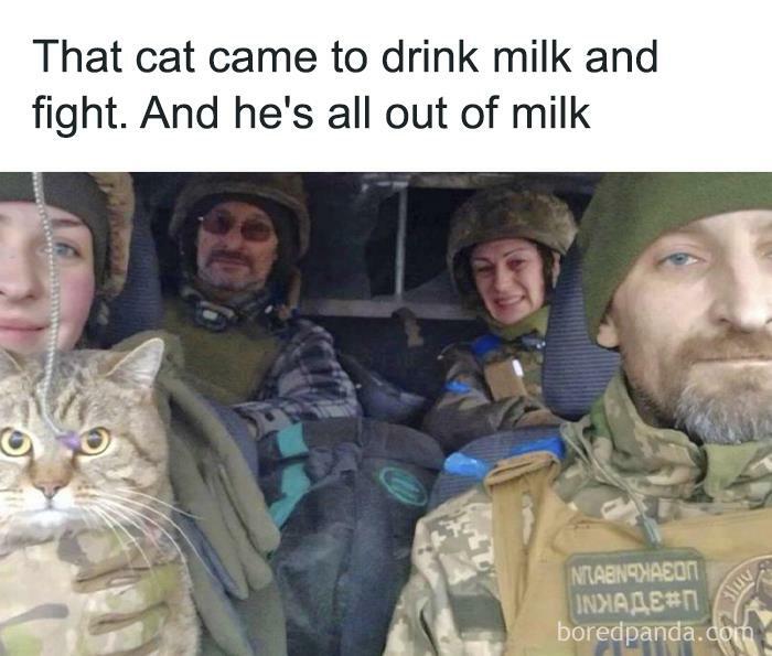 Hilarious-Animal-Memes