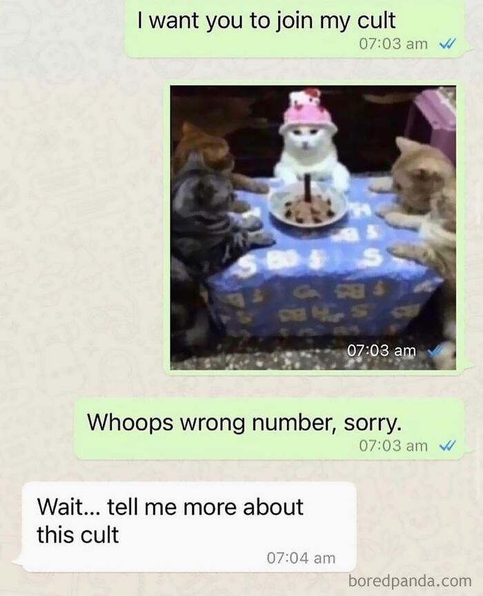 Hilarious-Animal-Memes