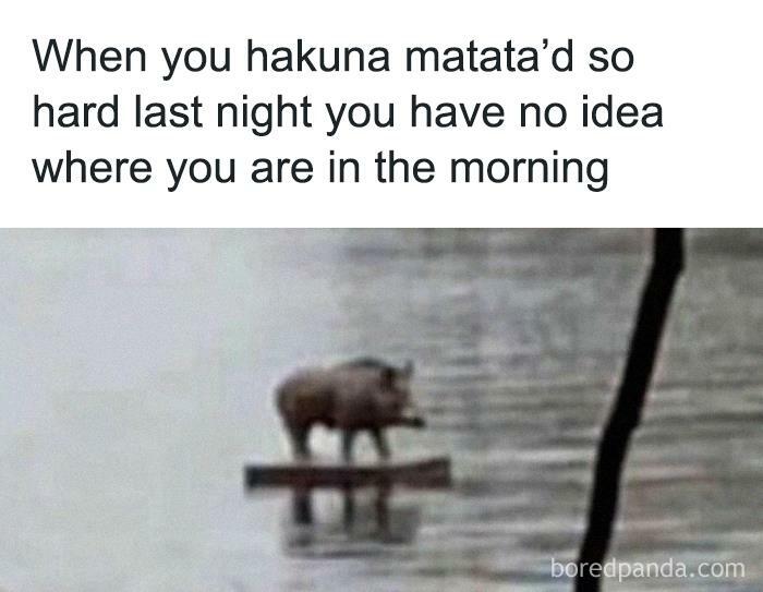 Hilarious-Animal-Memes