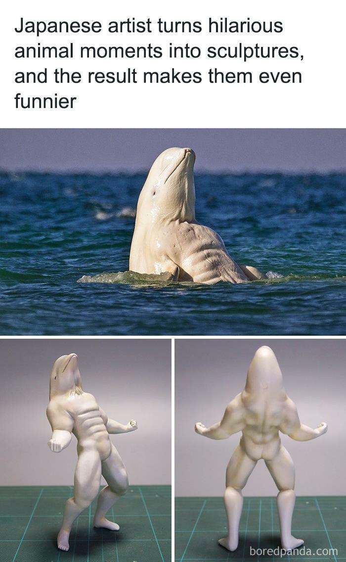 Hilarious-Animal-Memes
