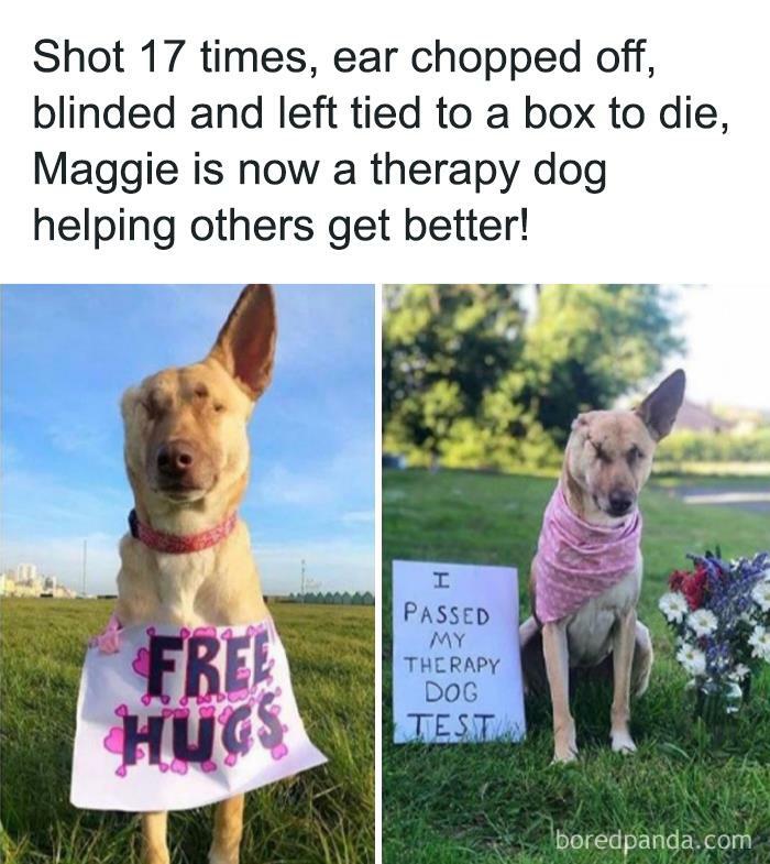 Dystopian-Capitalism-Horrors-Repackaged-As-Heartwarming-Posts