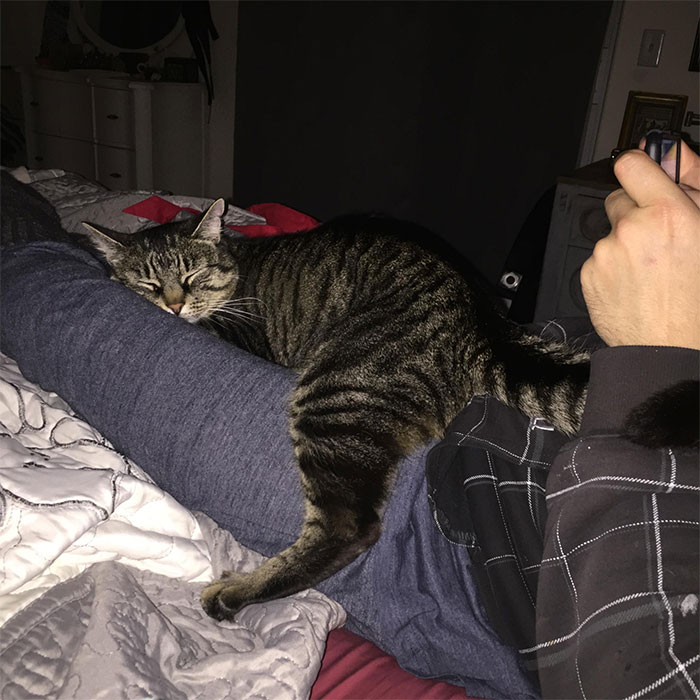 Couple Assumes New Neighbors Are Mexican, Makes Their Lives Hell Until The Day They Lose Patience