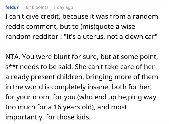 Reddit comment shaming older sister for getting pregnant for the seventh time, highlighting negligence and family impact.