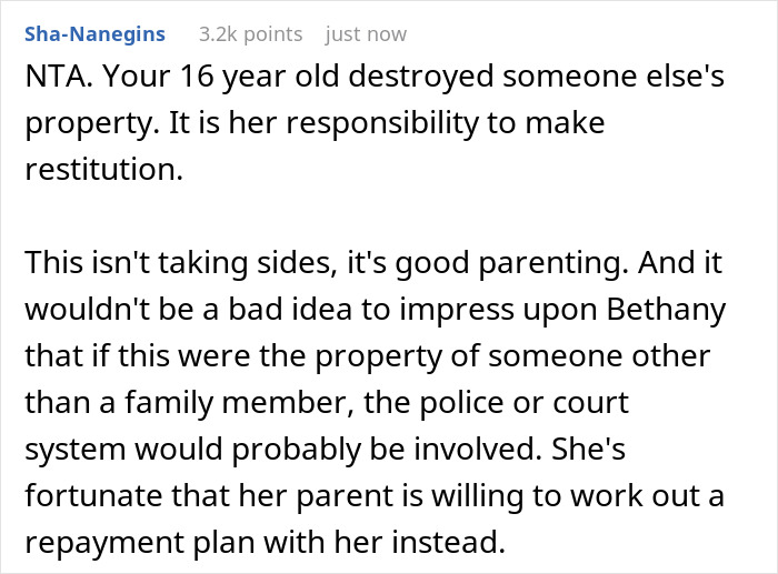 Teen Destroys Stepsister's Expensive Dress Out Of Petty Jealousy, Mom Makes It A Teaching Moment