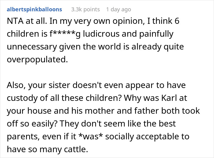 Reddit comment criticizing older sister for having seven children, discussing family and custody concerns.