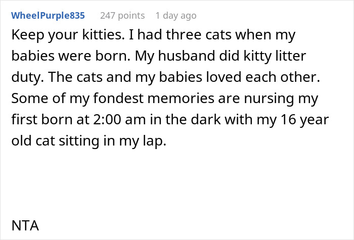 Woman Is Disappointed Friend Won&rsquo;t Get Rid Of Her Cats Now That She&rsquo;s Pregnant To Protect Her Baby