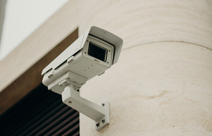 Gone Without A Sound: 50 Things That Disappeared Without Warning