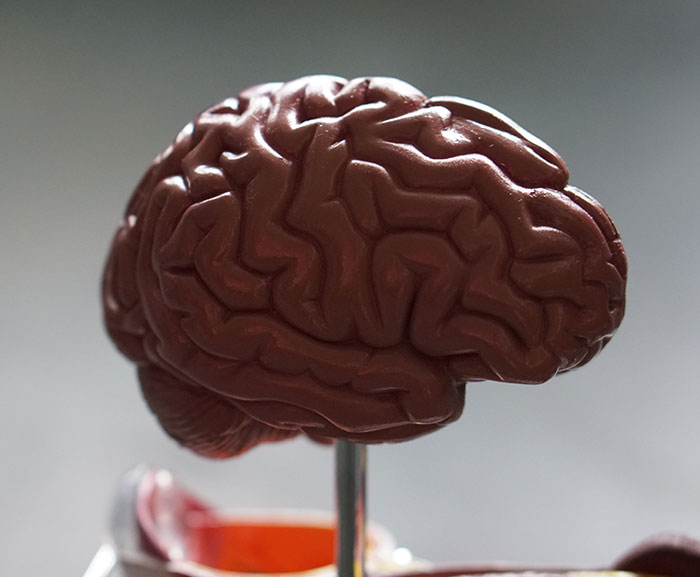 Getting the Facts Straight: 33 Common Beliefs That Are Actually Untrue