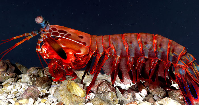 Getting the Facts Straight: 33 Common Beliefs That Are Actually Untrue