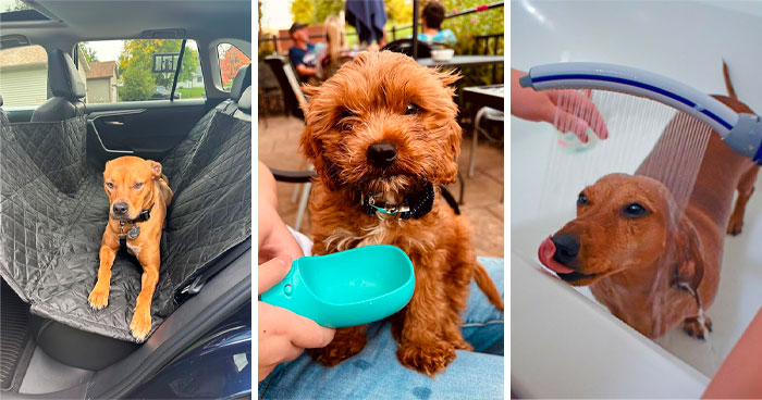 25 Game-Changing Dog Products That Every Pup Parent Should Own