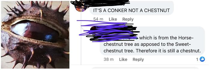 Correcting-Other-People-Incorrectly