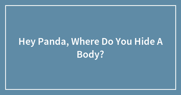 Hey Panda, Where Do You Hide A Body?