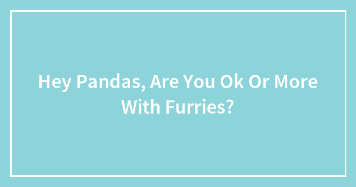 Hey Pandas, Are You Ok Or More With Furries?