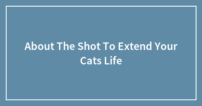 About The Shot To Extend Your Cats Life