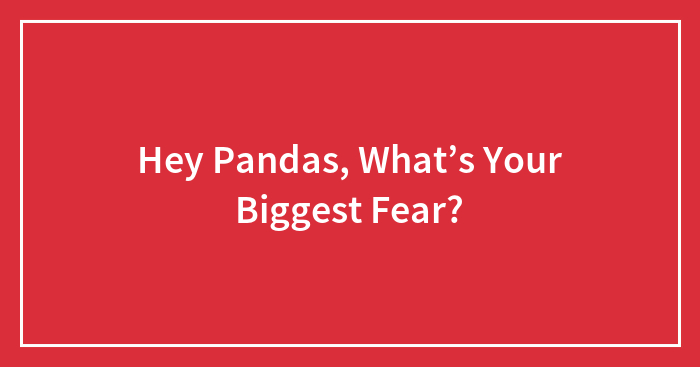 Hey Pandas, What’s Your Biggest Fear?