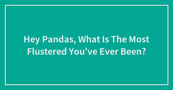Hey Pandas, What Is The Most Flustered You’ve Ever Been?