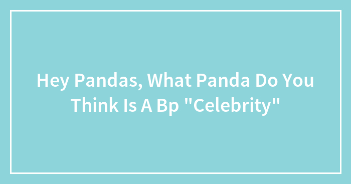 Hey Pandas, What Panda Do You Think Is A Bp “Celebrity”
