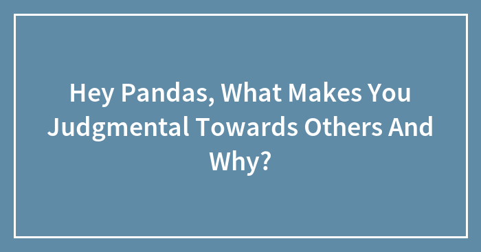 Hey Pandas, What Makes You Judgmental Towards Others And Why? (Closed)