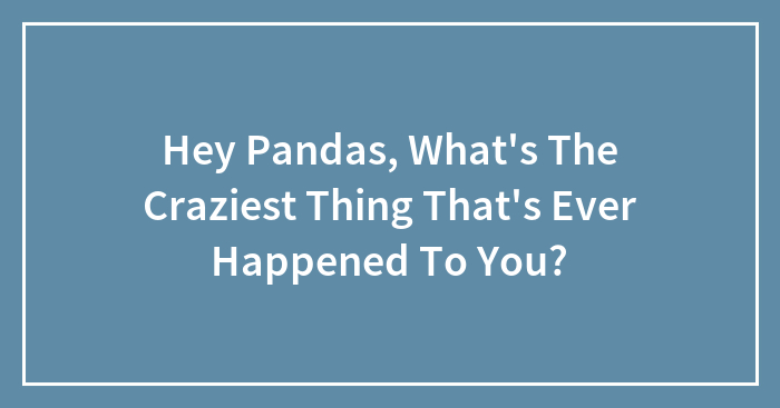Hey Pandas, What’s The Craziest Thing That’s Ever Happened To You? (Closed)