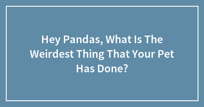 Hey Pandas, What Is The Weirdest Thing That Your Pet Has Done?