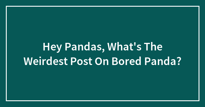 Hey Pandas, What’s The Weirdest Post On Bored Panda?