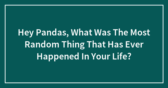 Hey Pandas, What Was The Most Random Thing That Has Ever Happened In Your Life?
