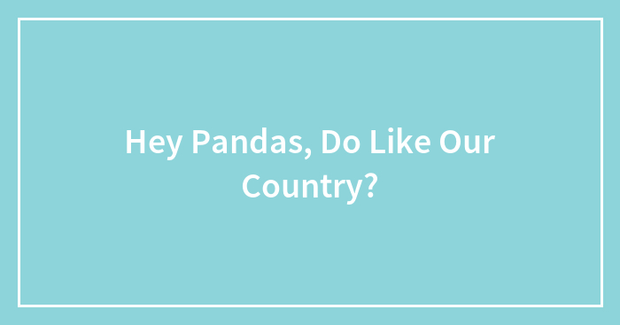 Hey Pandas, Do Like Our Country?