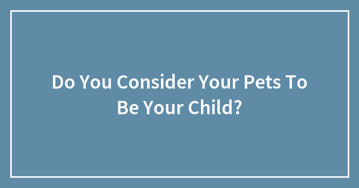 Do You Consider Your Pets To Be Your Child?