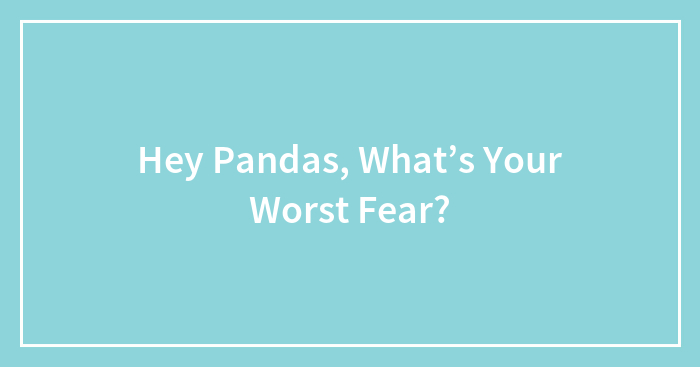Hey Pandas, What’s Your Worst Fear?