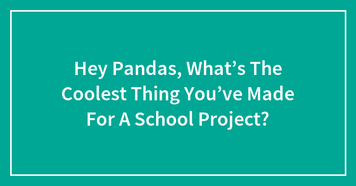 Hey Pandas, What’s The Coolest Thing You’ve Made For A School Project?