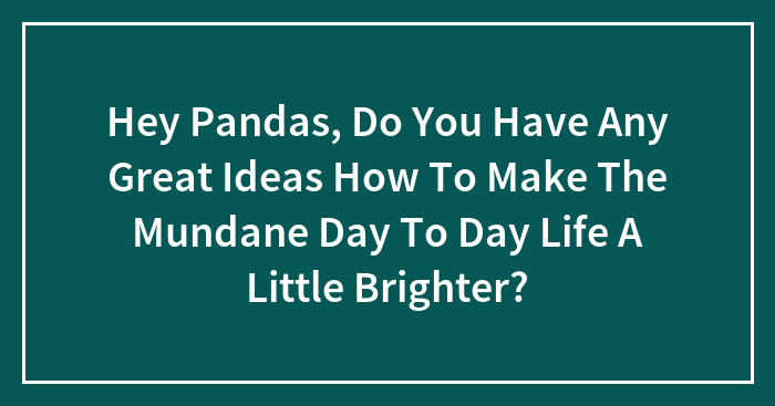 Hey Pandas, Do You Have Any Great Ideas How To Make The Mundane Day To Day Life A Little Brighter?