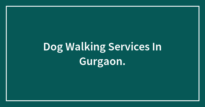 Dog Walking Services In Gurgaon.