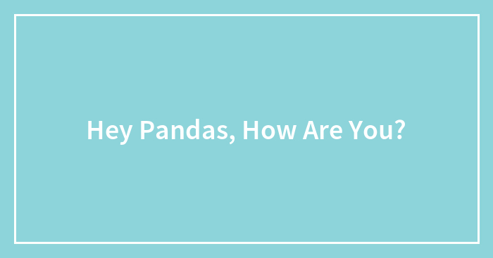 Hey Pandas, How Are You?