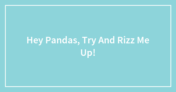 Hey Pandas, Try And Rizz Me Up!