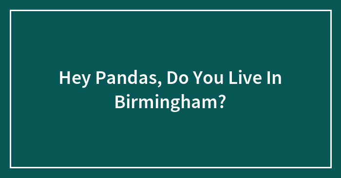 Hey Pandas, Do You Live In Birmingham?