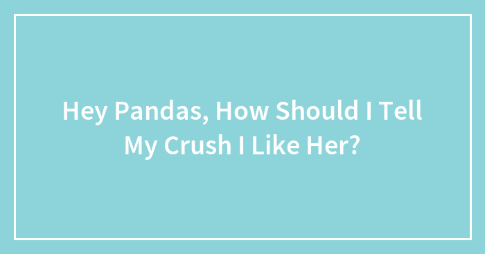 Hey Pandas, How Should I Tell My Crush I Like Her?
