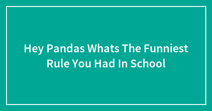Hey Pandas Whats The Funniest Rule You Had In School