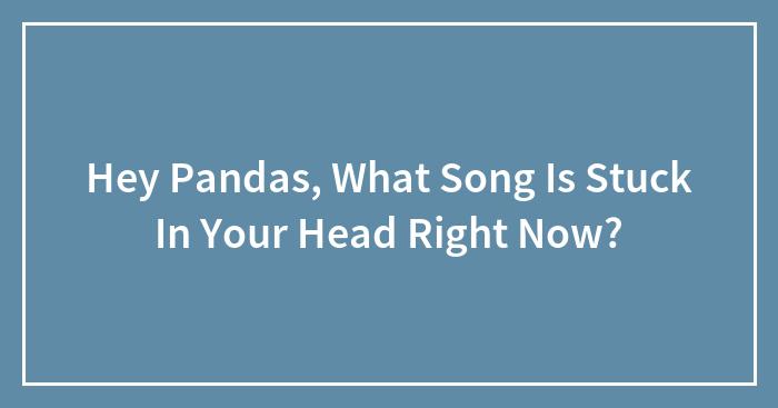 Hey Pandas, What Song Is Stuck In Your Head Right Now?