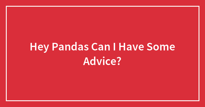 Hey Pandas Can I Have Some Advice?