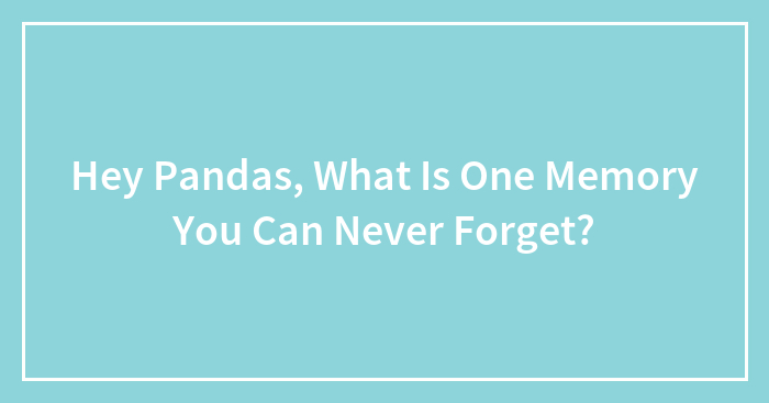 Hey Pandas, What Is One Memory You Can Never Forget? (Closed)