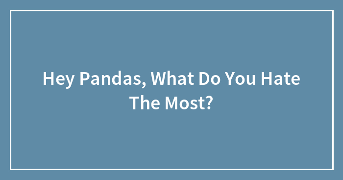 Hey Pandas, What Do You Hate The Most?
