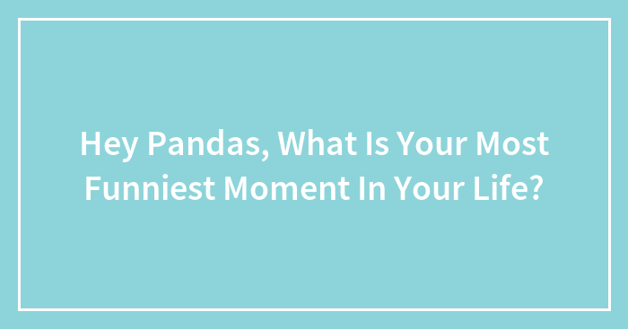 Hey Pandas, What Is Your Most Funniest Moment In Your Life?