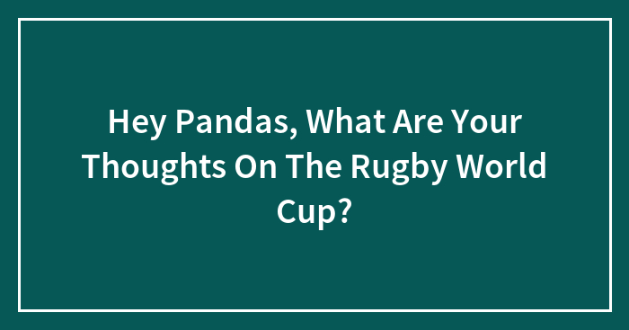 Hey Pandas, What Are Your Thoughts On The Rugby World Cup?