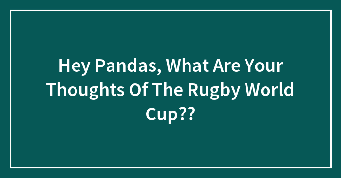 Hey Pandas, What Are Your Thoughts Of The Rugby World Cup??