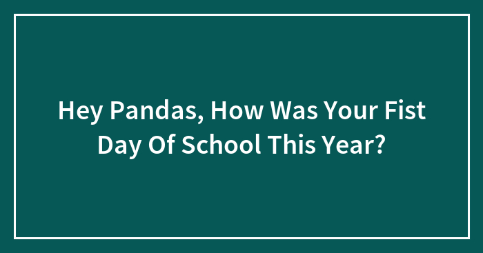 Hey Pandas, How Was Your Fist Day Of School This Year?