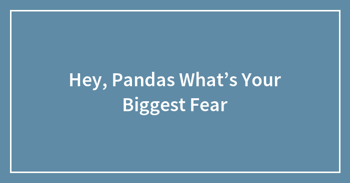 Hey, Pandas What’s Your Biggest Fear