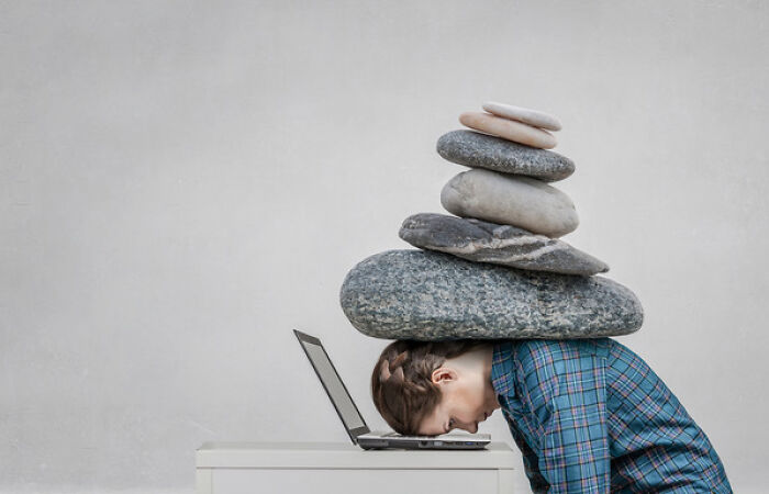 10 Fascinating Sleep Facts To Awaken Your Appreciation For Nature