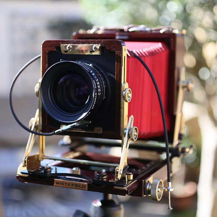 I Bought An Old Wooden Camera And Started Taking Pictures With It