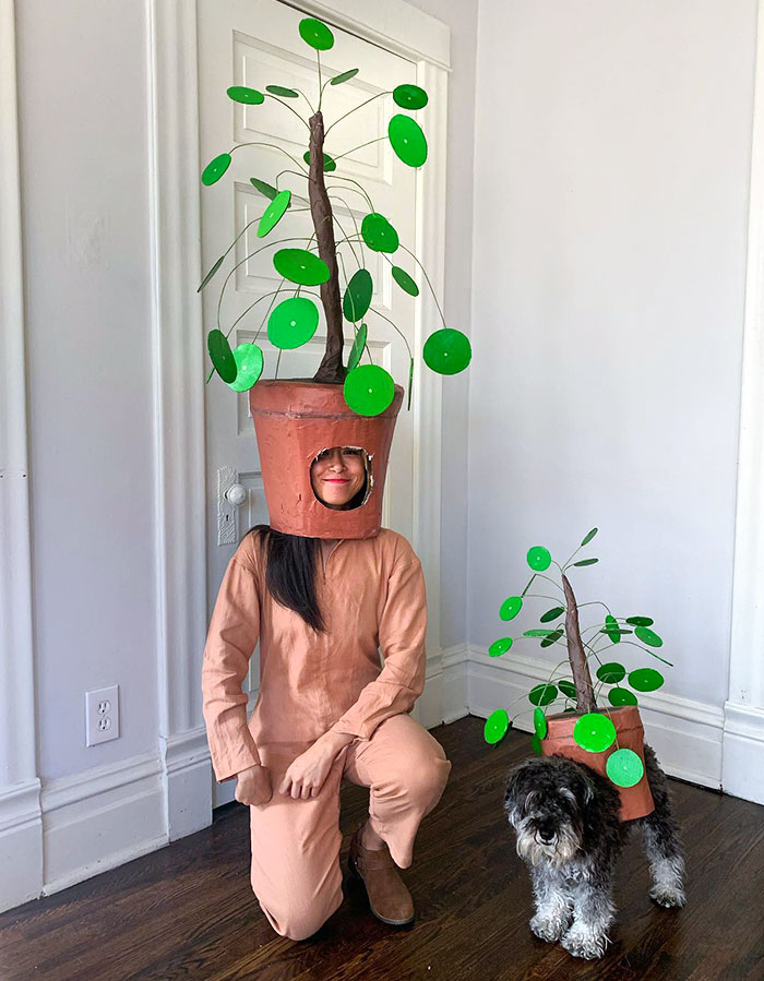 Just A Pilea And Her Pup