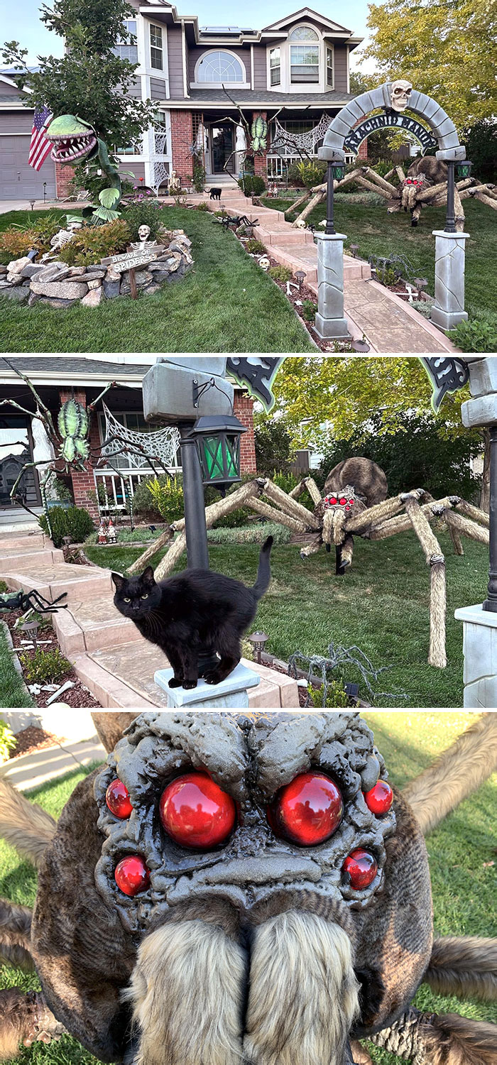 Arachnid Manor